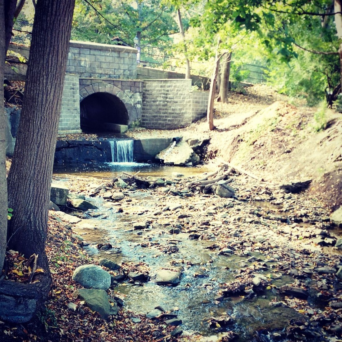 cropped-7c3901bc-452d-4b1c-898c-57ba236f2bed